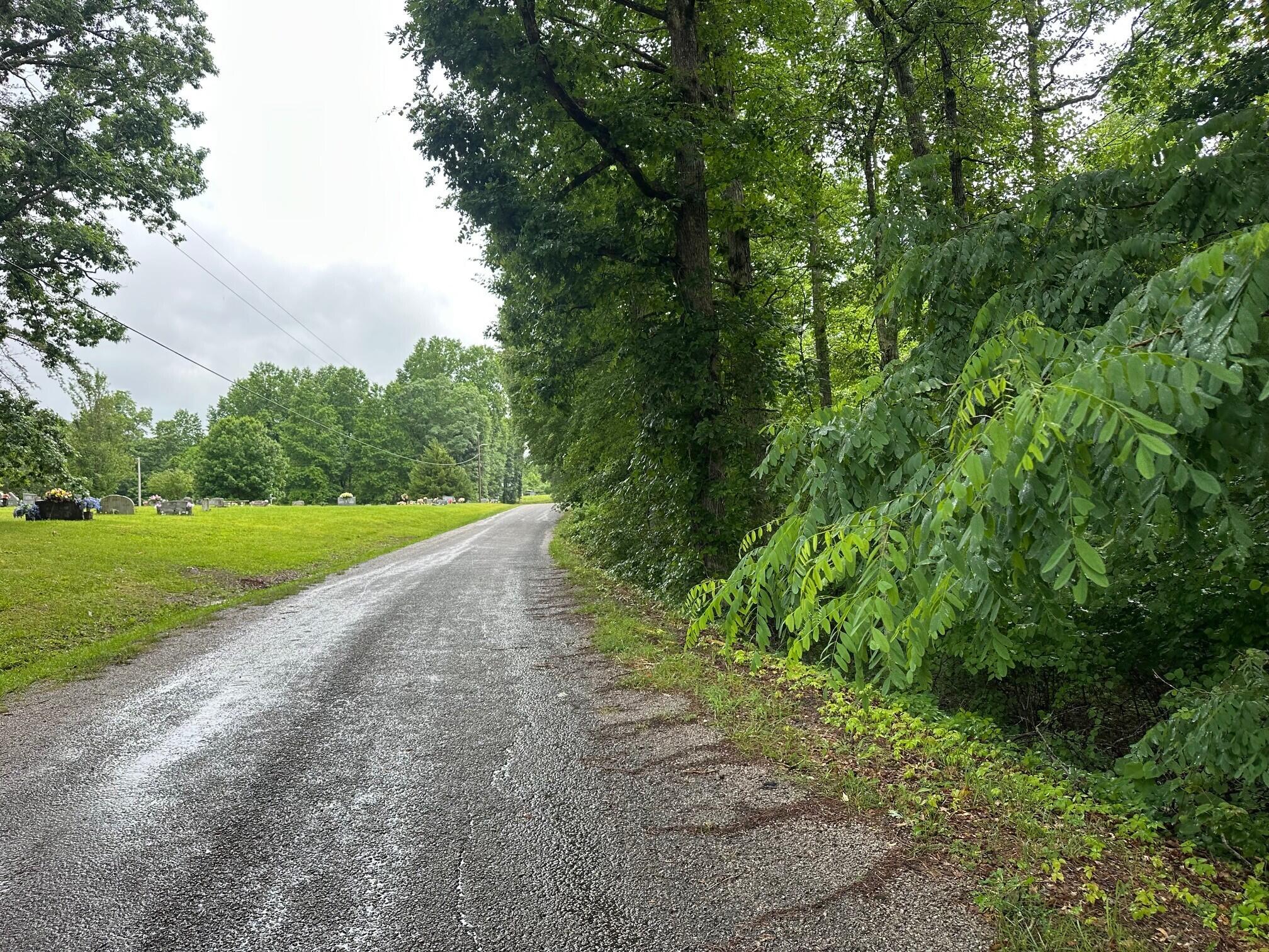 Lot 7 Sawmill Road, Unit LOT 7 Palmer, TN 37365 - Photo 12 of 12 2