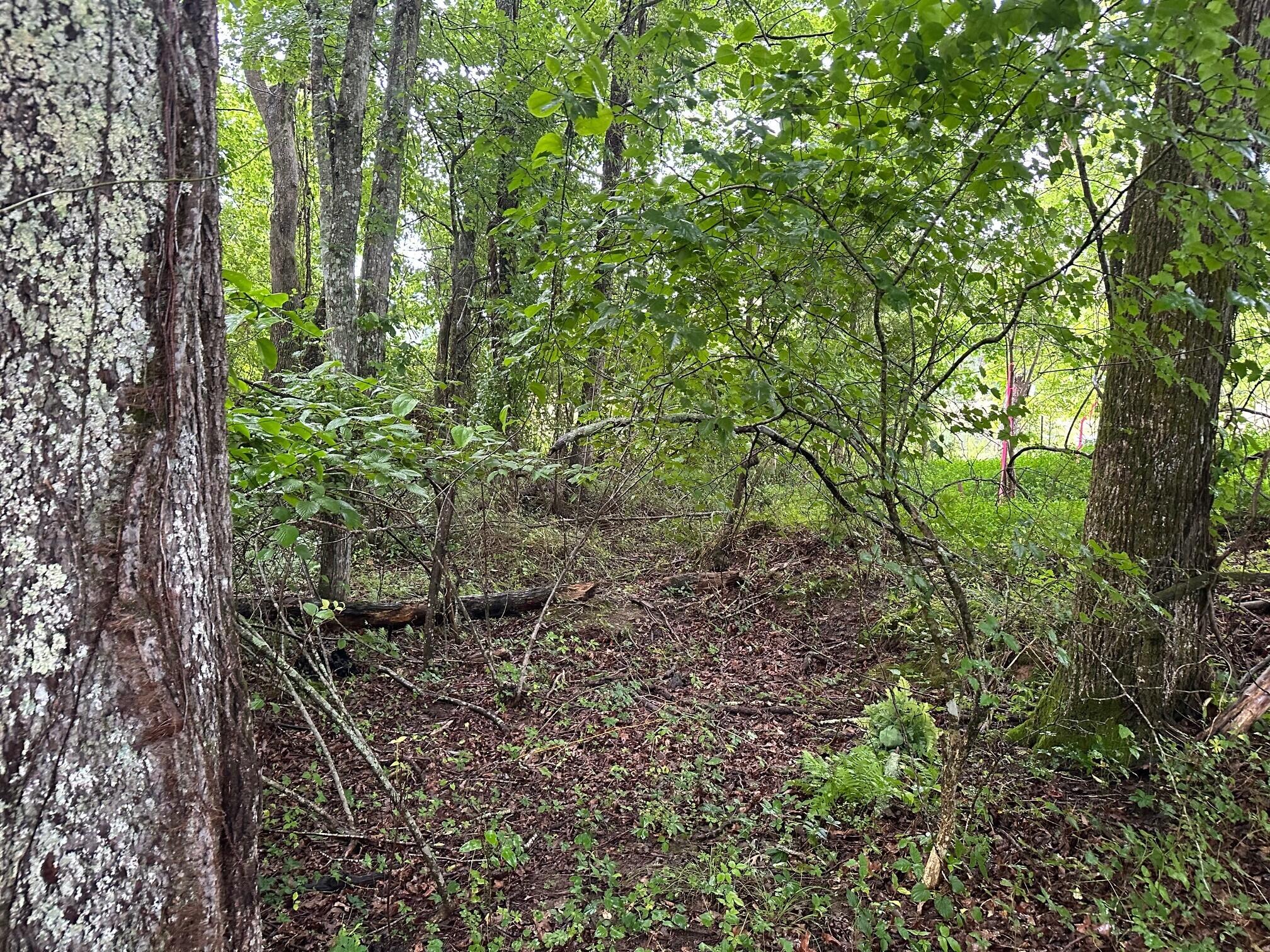 Lot 7 Sawmill Road, Unit LOT 7 Palmer, TN 37365 - Photo 2 of 12 5