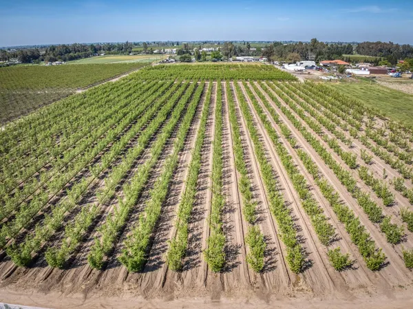 $970,000 | 42682 Road 72, Dinuba, CA 93618