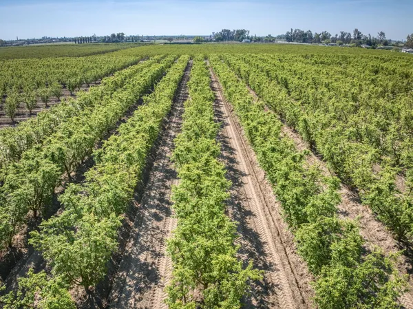 $970,000 | 42682 Road 72, Dinuba, CA 93618