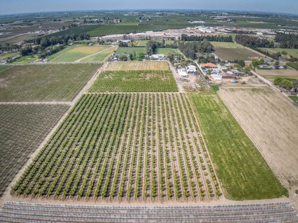 $970,000 | 42682 Road 72, Dinuba, CA 93618