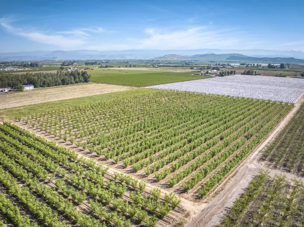 $970,000 | 42682 Road 72, Dinuba, CA 93618