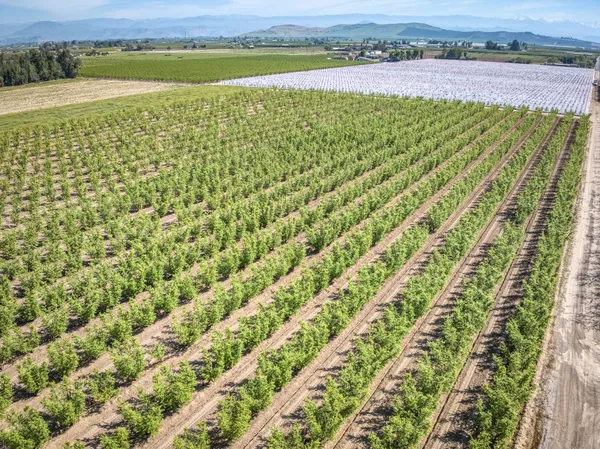 $970,000 | 42682 Road 72, Dinuba, CA 93618