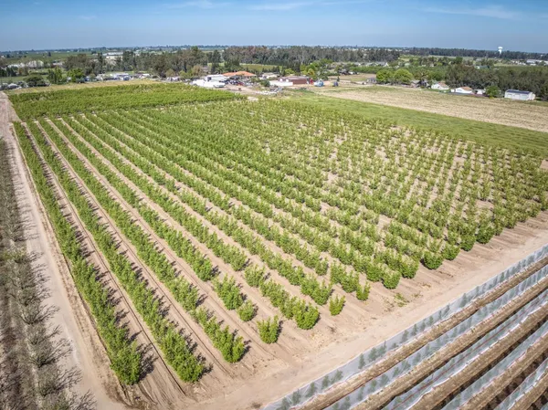 $970,000 | 42682 Road 72, Dinuba, CA 93618