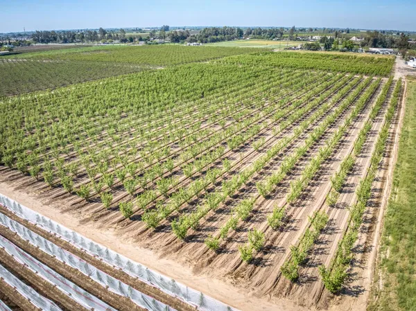 $970,000 | 42682 Road 72, Dinuba, CA 93618