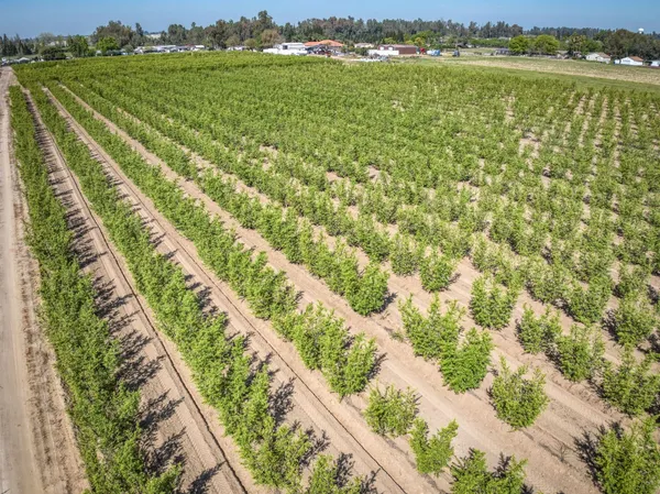 $970,000 | 42682 Road 72, Dinuba, CA 93618