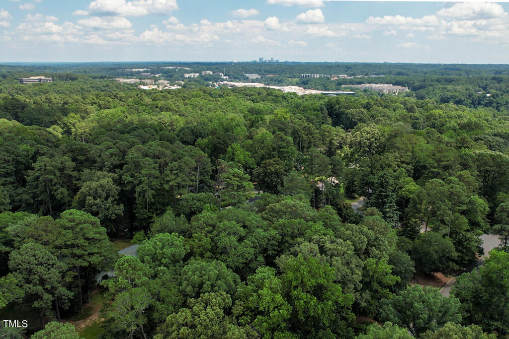 4732 Rembert Drive Raleigh, NC 27612 - Photo 49 of 52 MLS_4732_Rembert-50