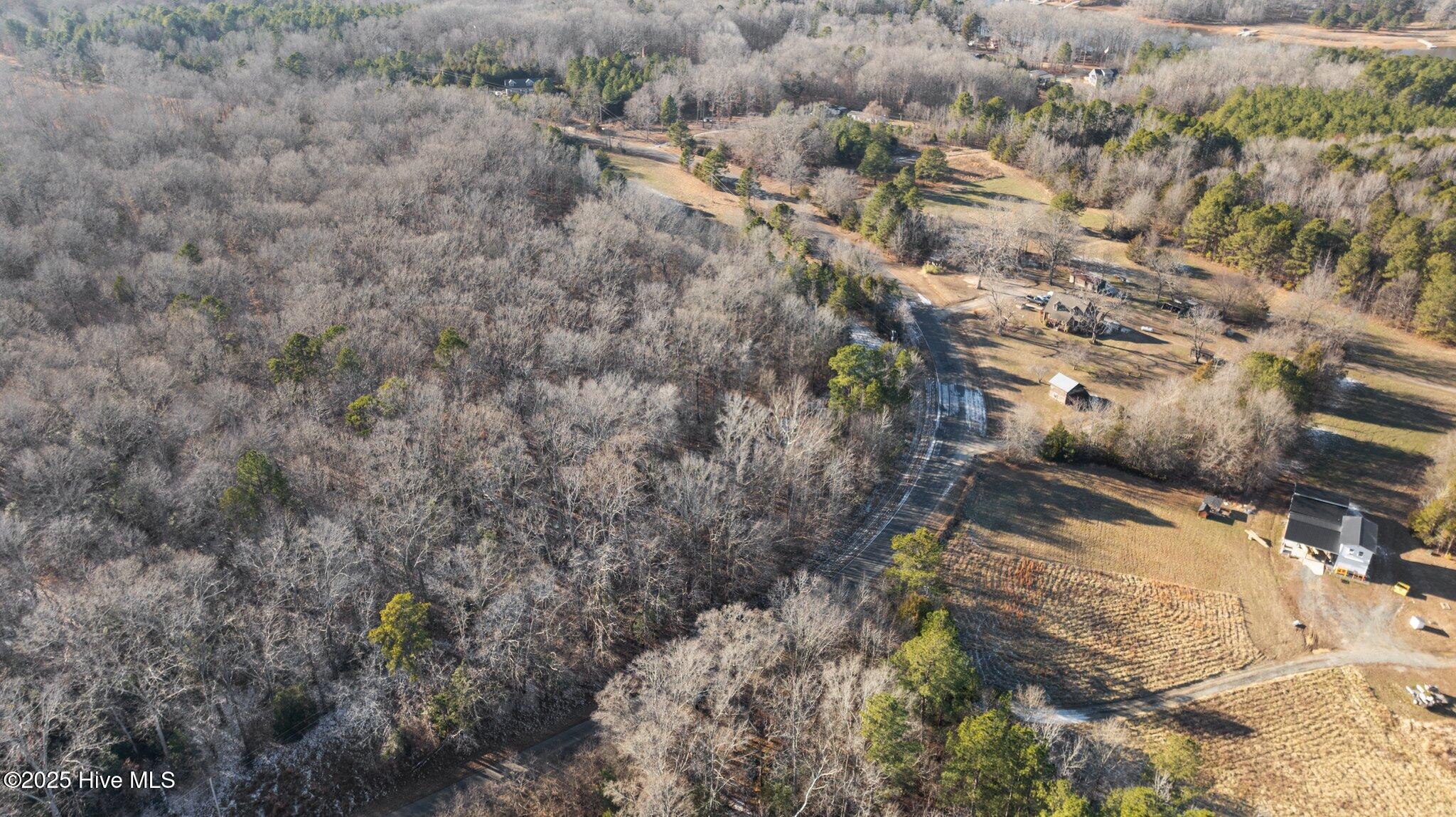 0 Williamson Road Bullock, NC 27507 - Photo 10 of 11 9-web-or-mls-DJI_0308