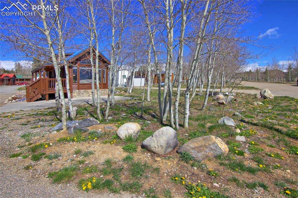 65 Sunshine Loop Fairplay, CO 80440 - Photo 5 of 50 Side Yard