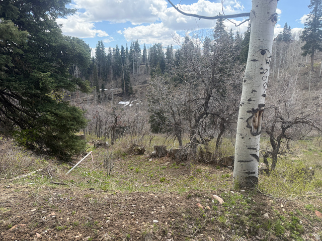 2211 Pine Loop Road, Unit 64 Coalville, UT 84017 - Photo 3 of 20 View of local wilderness