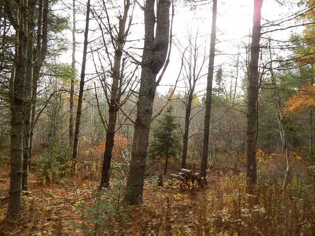 Lot 13-g West Bay Road Prospect Harbor, ME 04669 - Photo 18 of 20 Photo