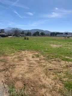 a view of a big yard with a house in back