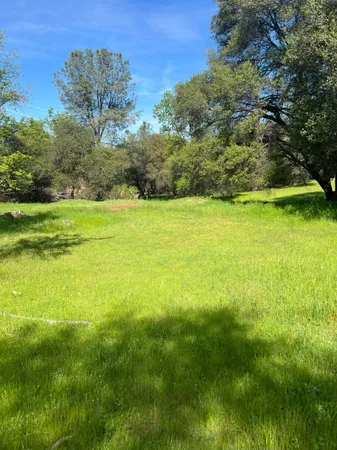 a view of an ocean from a yard