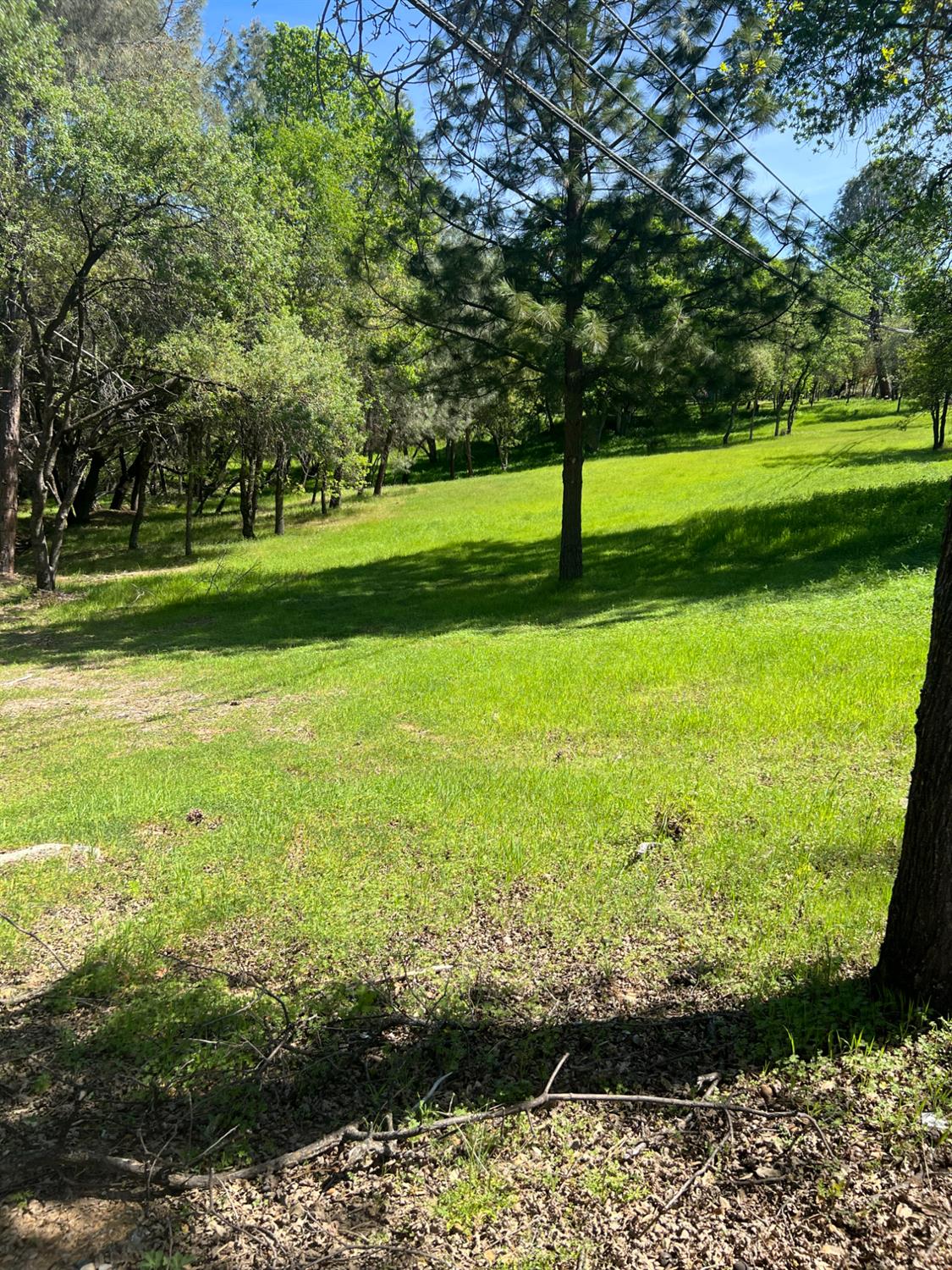 0 China Garden Road Placerville, CA 95667 - Photo 2 of 8