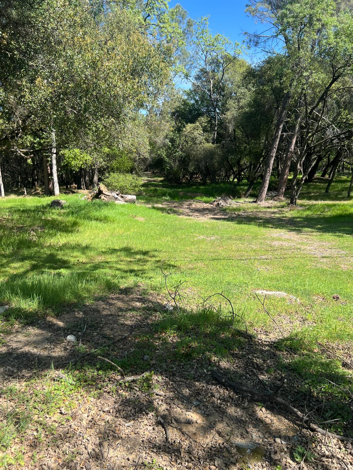 0 China Garden Road Placerville, CA 95667 - Photo 3 of 8