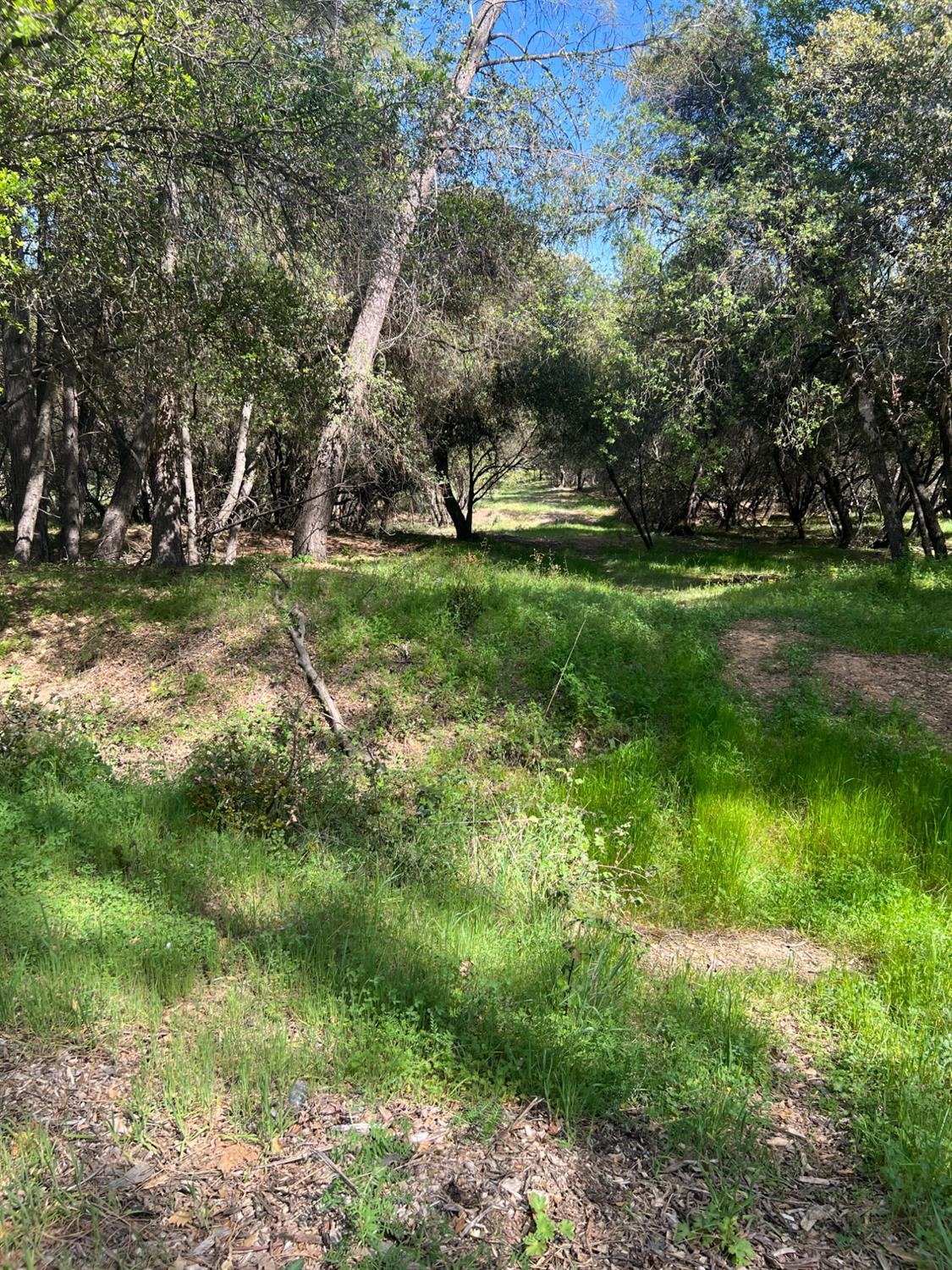 0 China Garden Road Placerville, CA 95667 - Photo 4 of 8