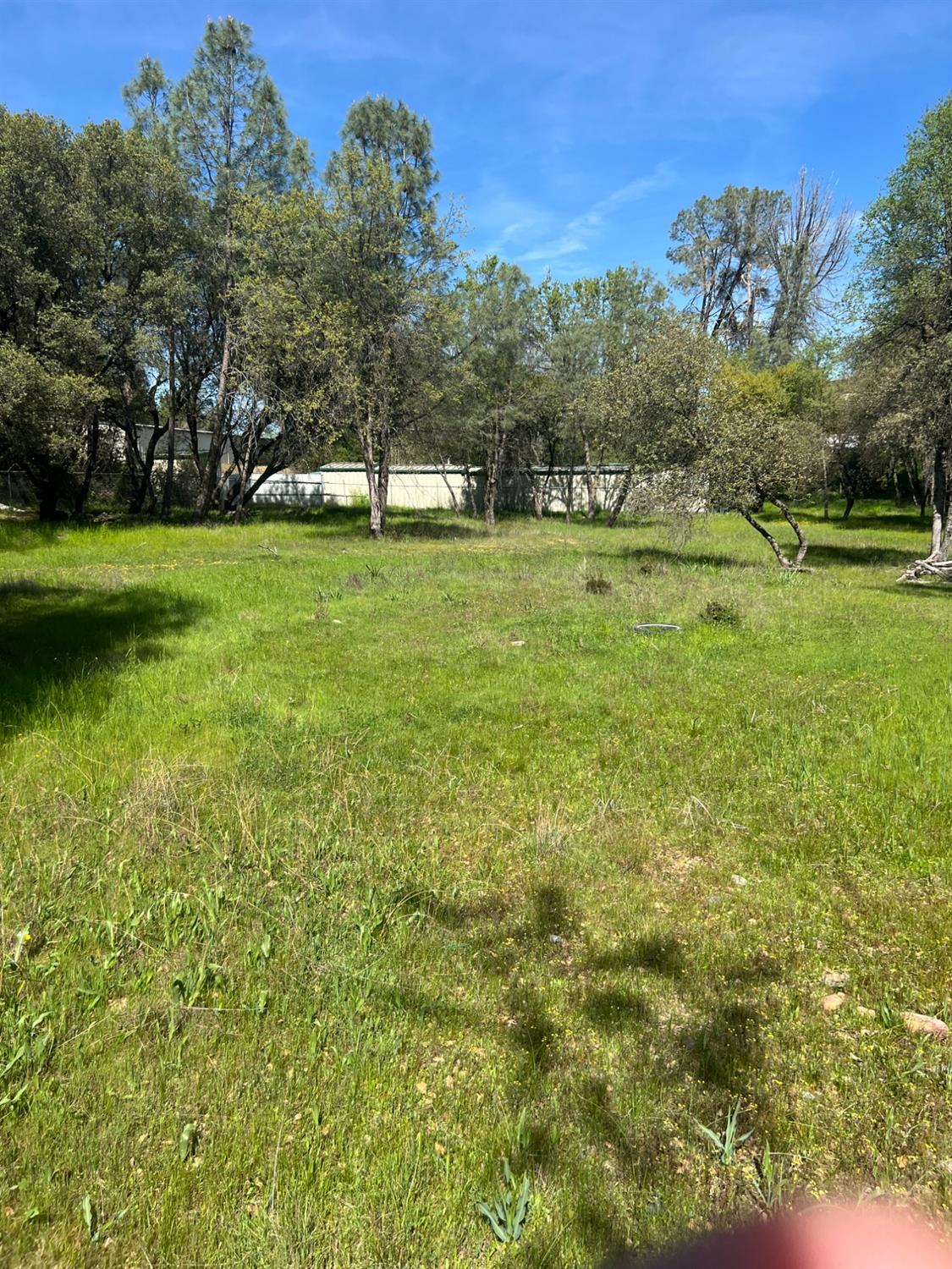 0 China Garden Road Placerville, CA 95667 - Photo 5 of 8