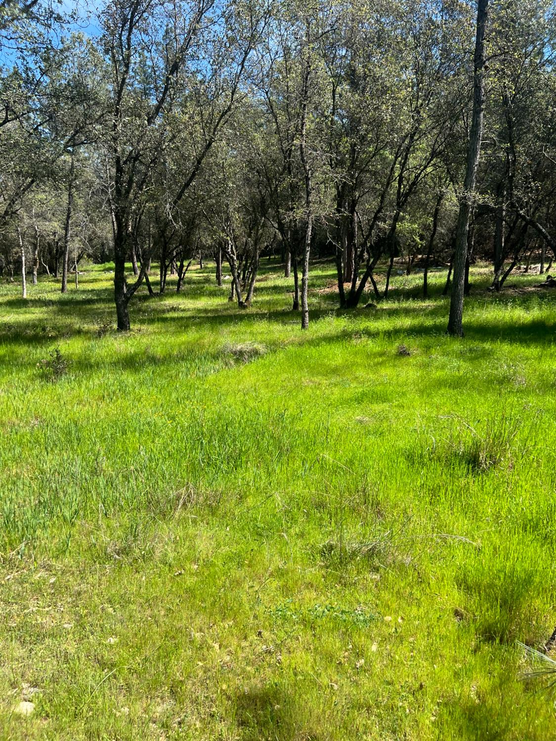 0 China Garden Road Placerville, CA 95667 - Photo 6 of 8