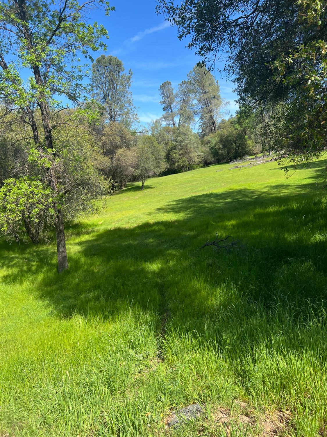 0 China Garden Road Placerville, CA 95667 - Photo 8 of 8