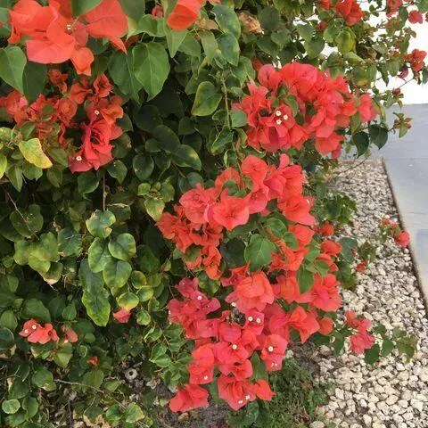 $125,000 | 144 Norwich F, West Palm Beach, FL 33417