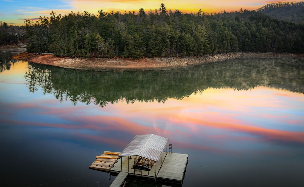 770 Fish Hook Point Blue Ridge, GA 30513 - Photo 15 of 95