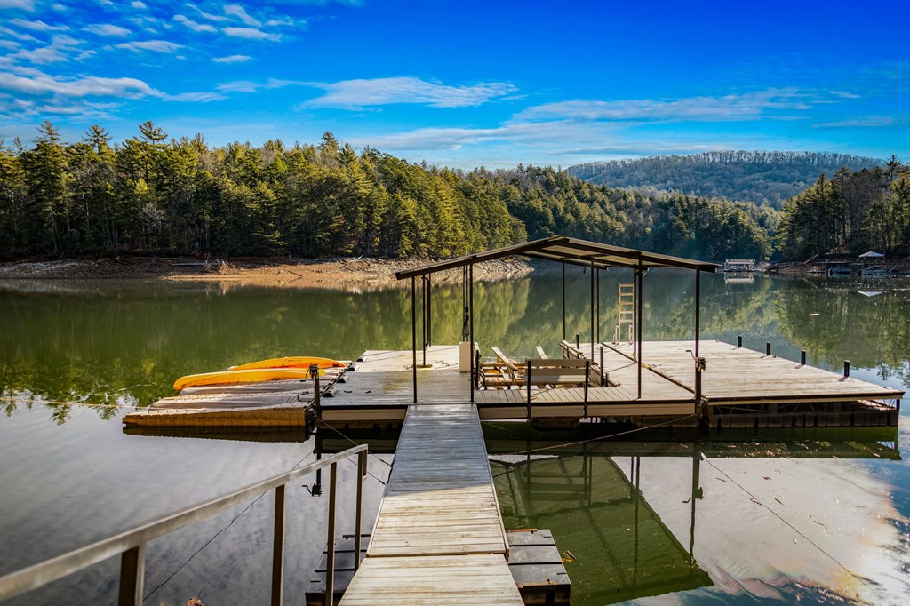 770 Fish Hook Point Blue Ridge, GA 30513 - Photo 72 of 95 Terrace Level Living