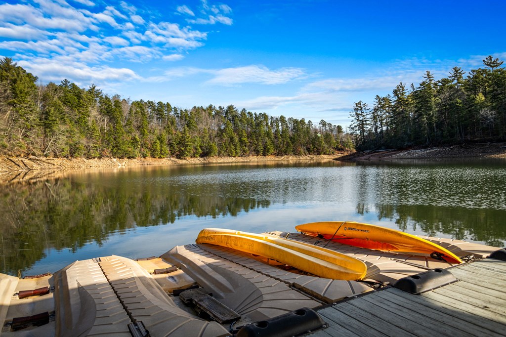 770 Fish Hook Point Blue Ridge, GA 30513 - Photo 73 of 95 Terrace Level Living