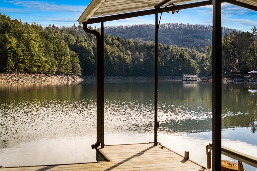 770 Fish Hook Point Blue Ridge, GA 30513 - Photo 74 of 95 3 Car Garage + Apartment