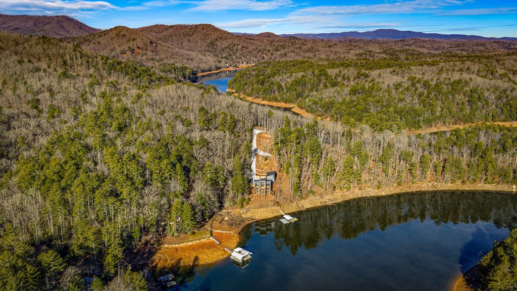 770 Fish Hook Point Blue Ridge, GA 30513 - Photo 9 of 95