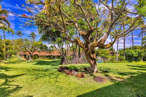a view of a chairs and table in the back yard of the house
