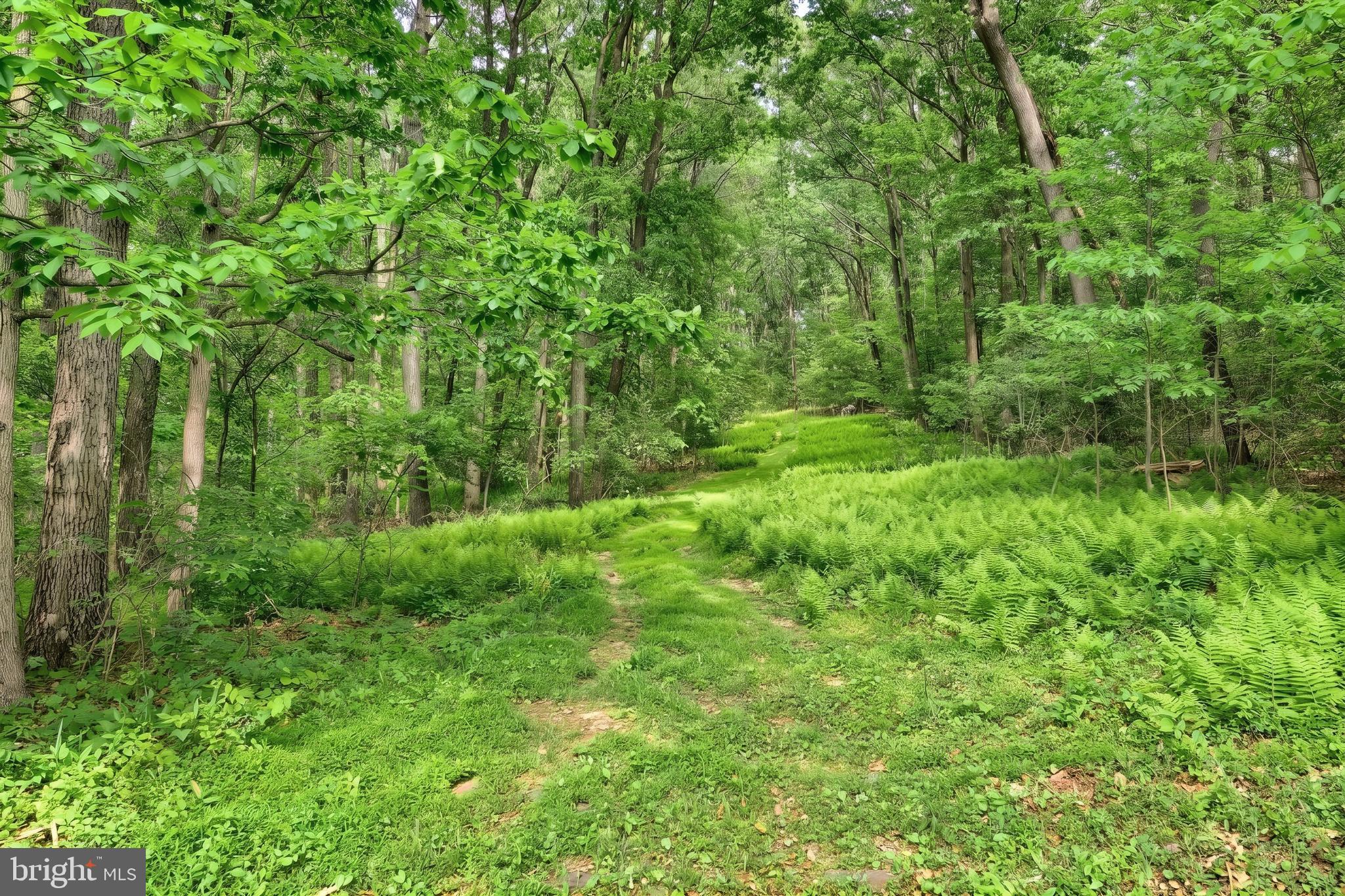 743 Snyder Corner Road Red Lion, PA 17356 - Photo 19 of 59