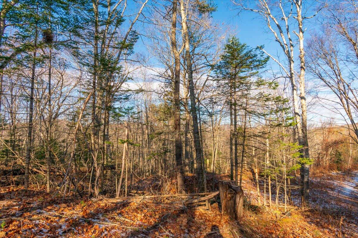 11 Map Way Rockport, ME 04856 - Photo 17 of 27 Map 11 Lot 50-2 Malachi Way, Rockport