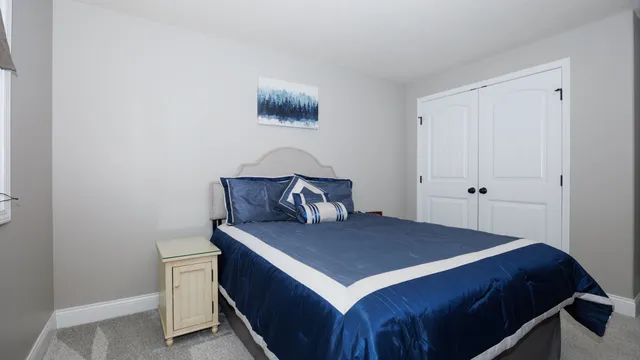 a view of a park with palm trees