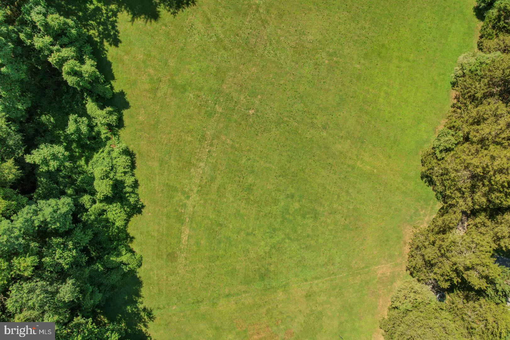 211 Walker Road Dover, DE 19904 - Photo 10 of 12 a view of a small yard