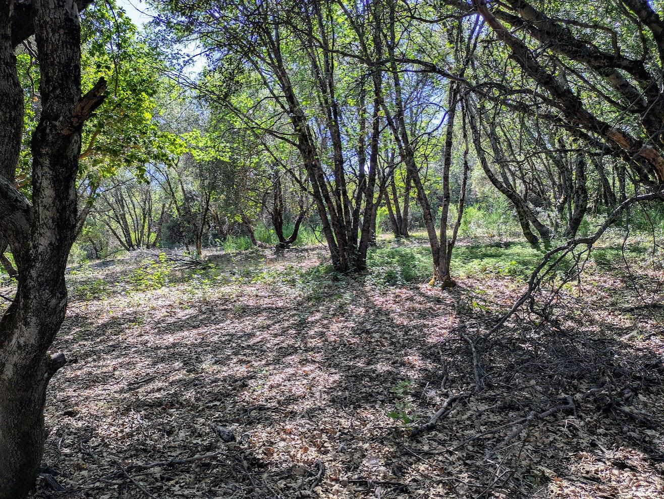 12998 Tyler Foote Road Nevada City, CA 95959 - Photo 26 of 33