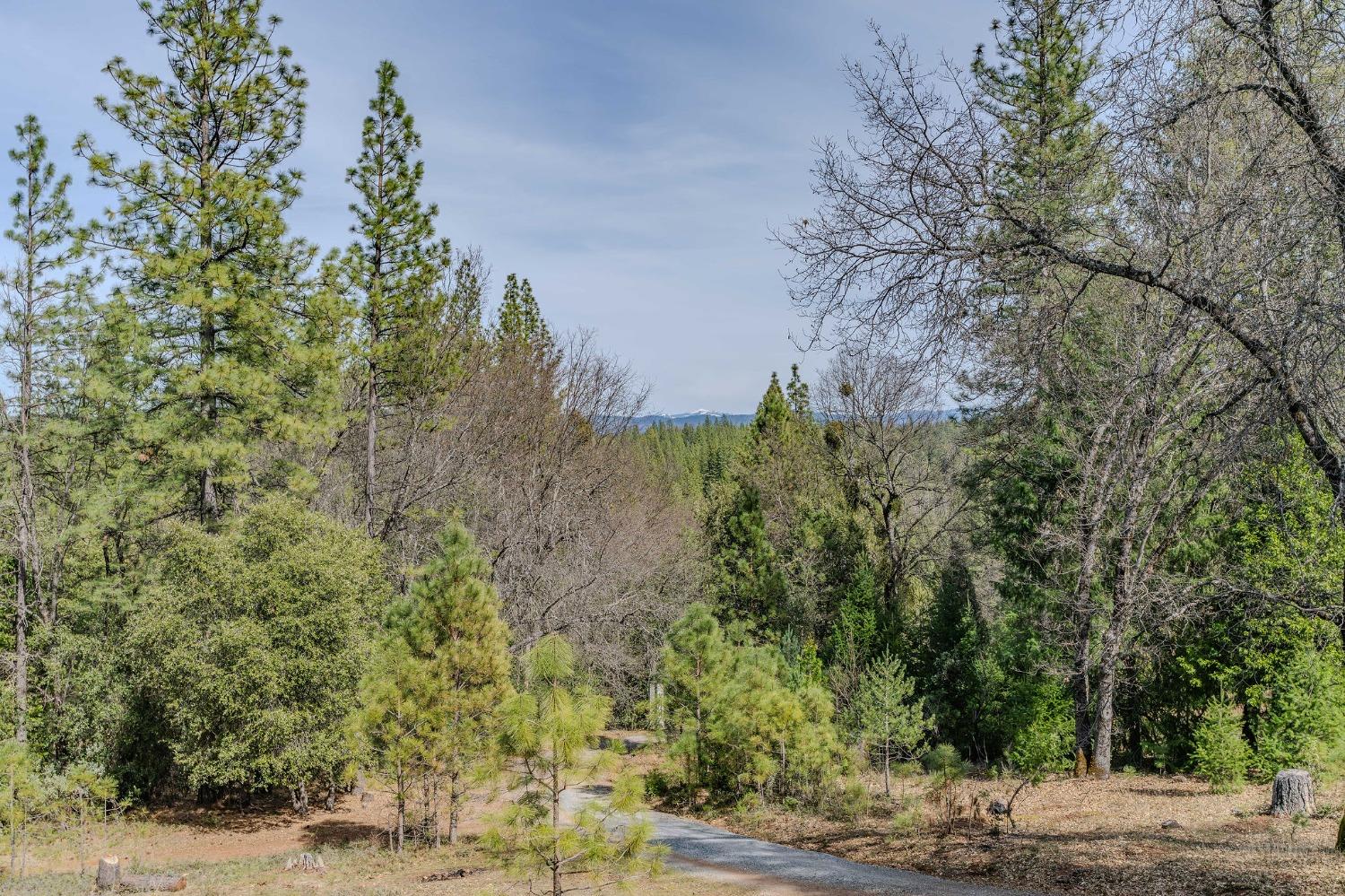 2383 Independence Rail Road Flat, CA 95248 - Photo 45 of 46