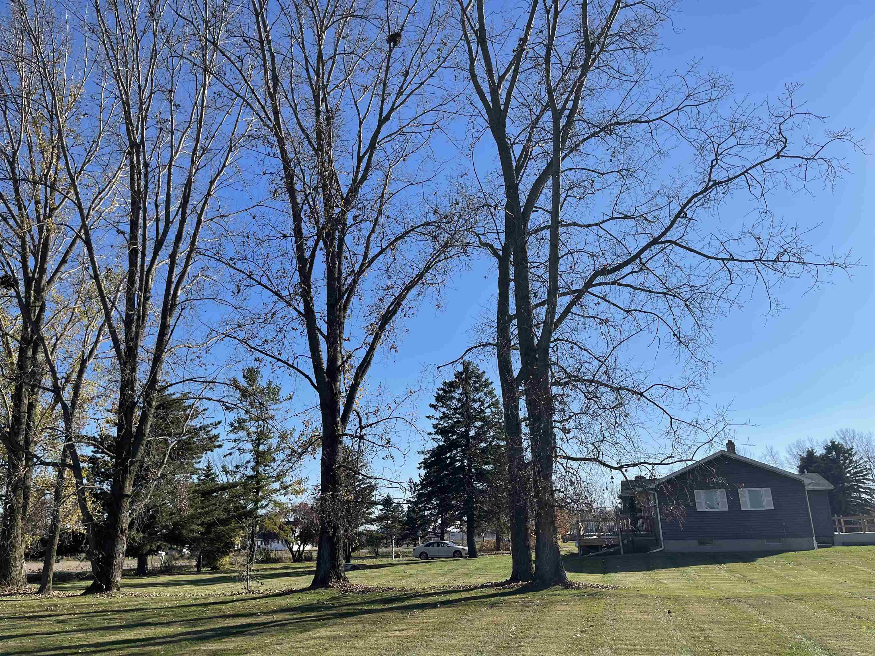 4765 Maloney Road Pinconning, MI 48650 - Photo 13 of 60