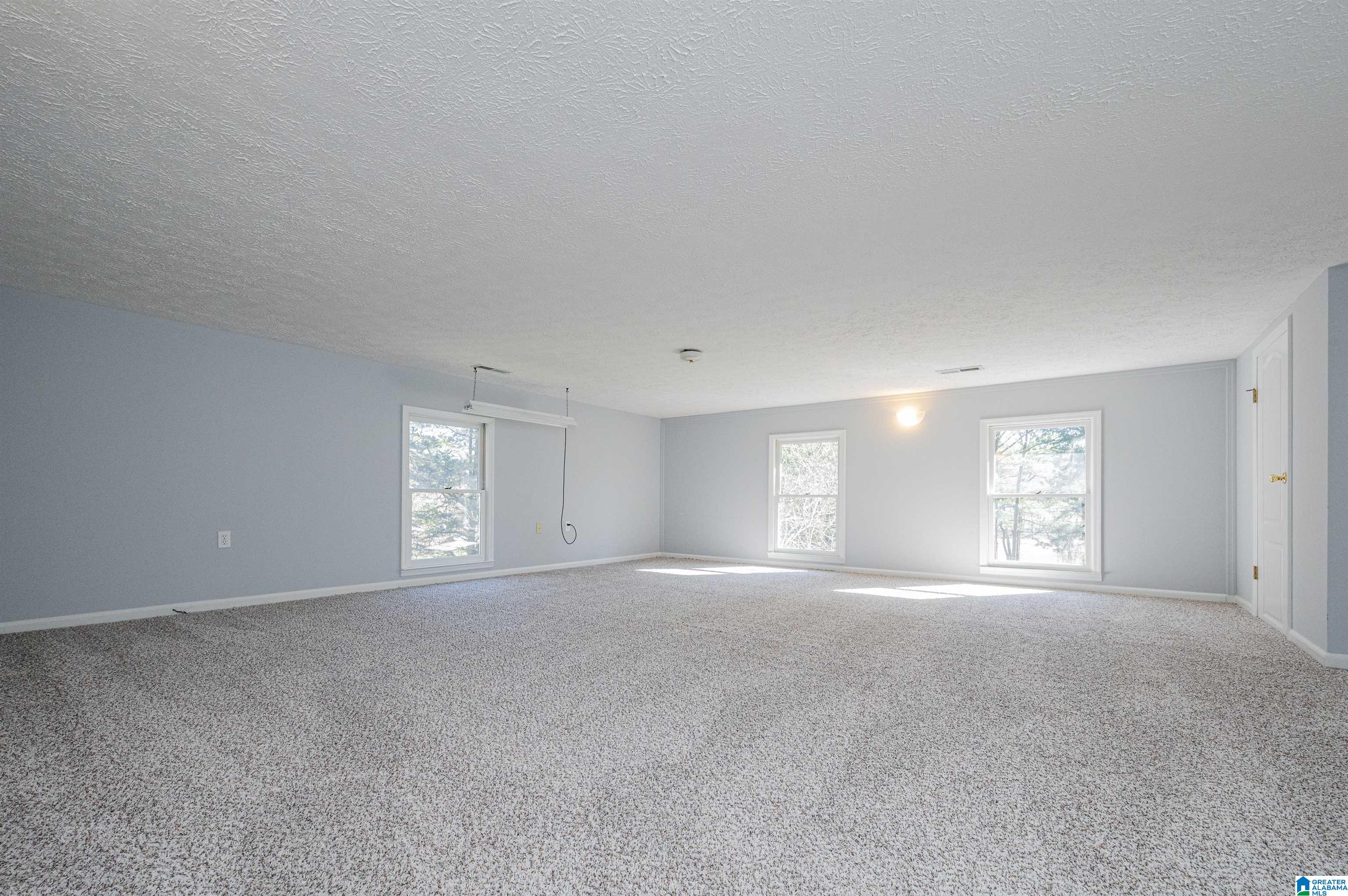 19035 Remlap Drive Remlap, AL 35133 - Photo 27 of 48