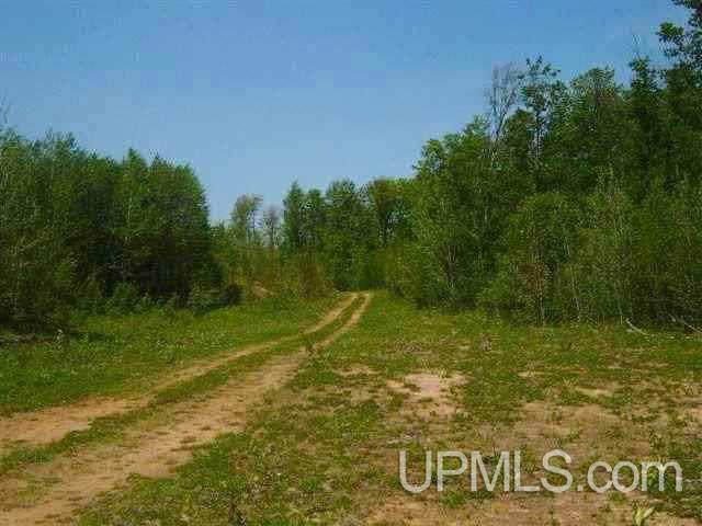 Tbd Menge Creek Road Lanse, MI 49908 - Photo 4 of 9