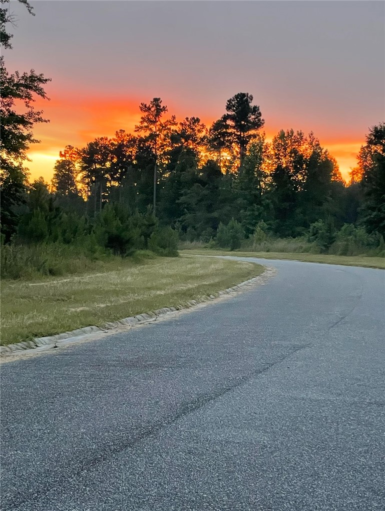 154 Salt Creek Way Brunswick, GA 31523 - Photo 2 of 7