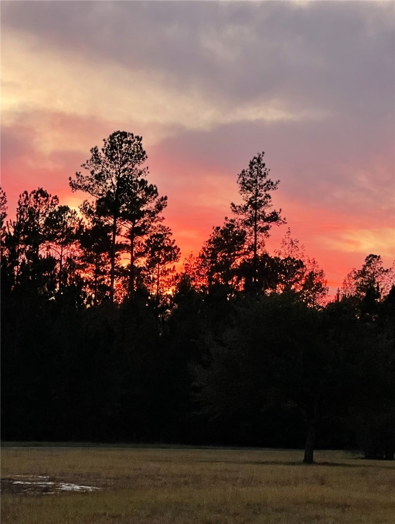 154 Salt Creek Way Brunswick, GA 31523 - Photo 3 of 7