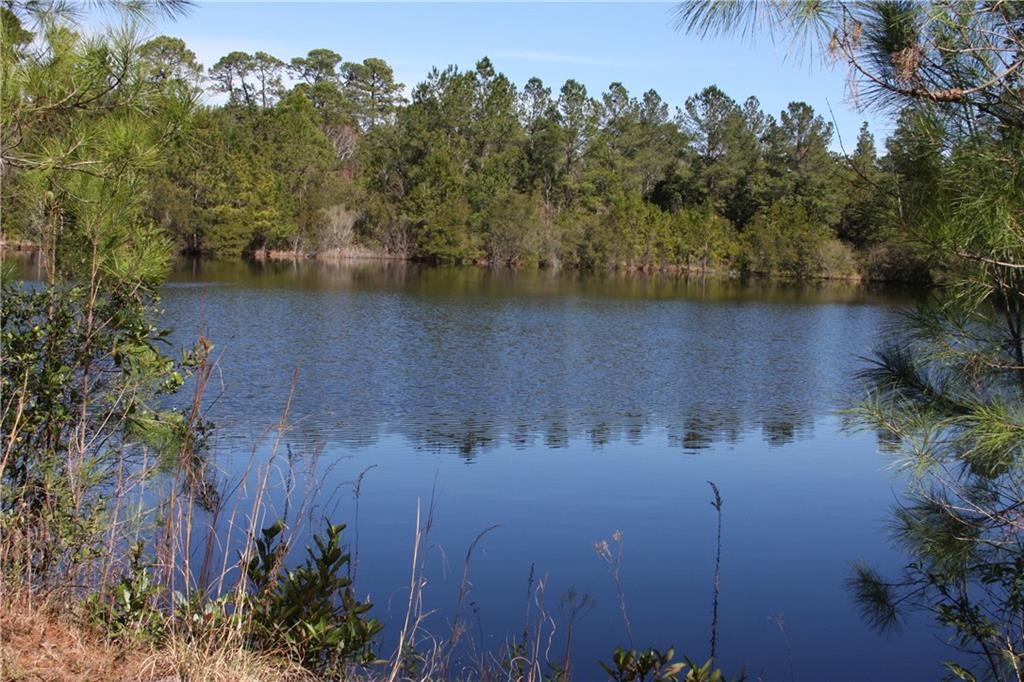 0 Southwest King Swamp Road Southwest Darien, GA 31305 - Photo 4 of 6