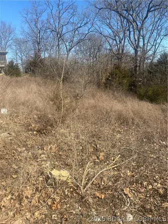 $18,500 | Lot 12 Witches Cove Blvd Lake, Lake Ozark, MO 65049