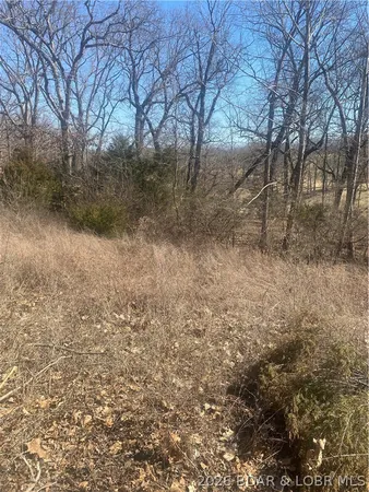 $18,500 | Lot 12 Witches Cove Blvd Lake, Lake Ozark, MO 65049