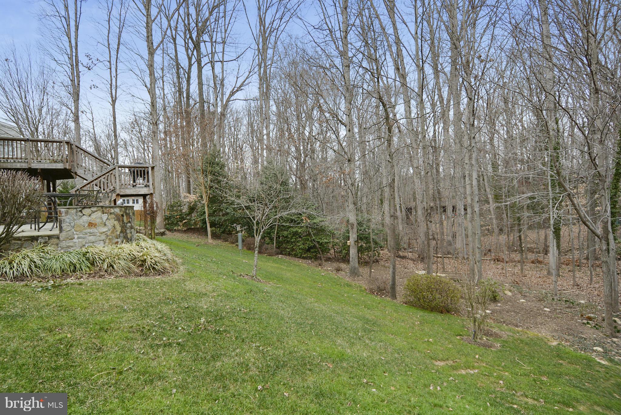 7406 Spring Summit Road Springfield, VA 22150 - Photo 3 of 30 a view of a outdoor space