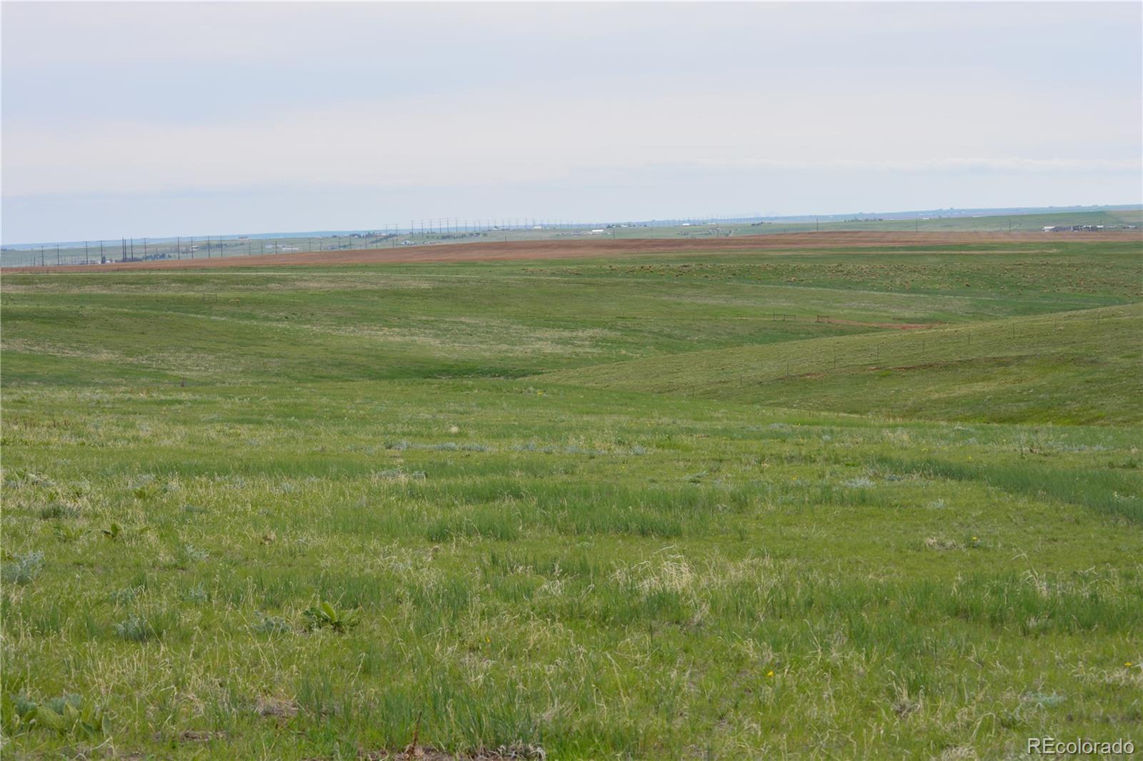 5639 South Tom Bay Road Bennett, CO 80102 - Photo 11 of 39 Gallery Image 11