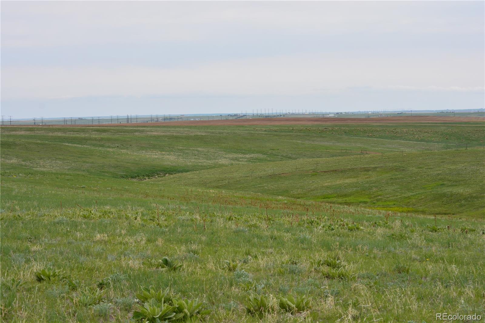5639 South Tom Bay Road Bennett, CO 80102 - Photo 13 of 39 Gallery Image 13