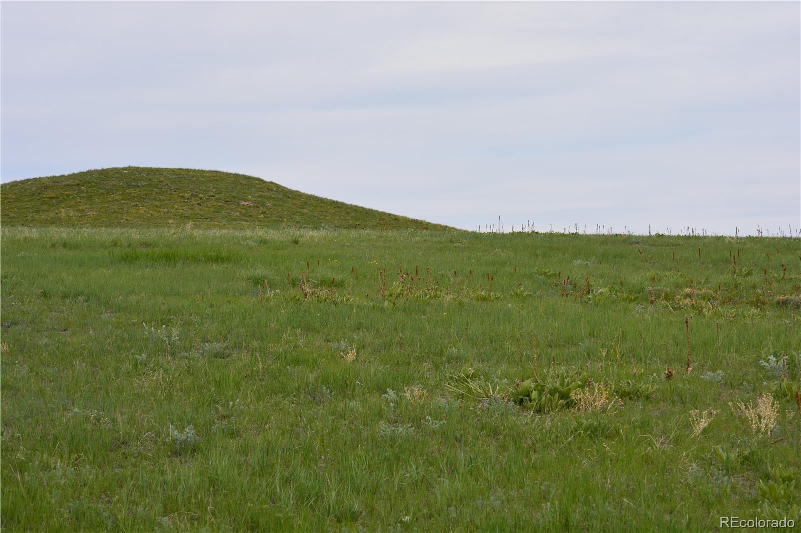 5639 South Tom Bay Road Bennett, CO 80102 - Photo 16 of 39 Gallery Image 16