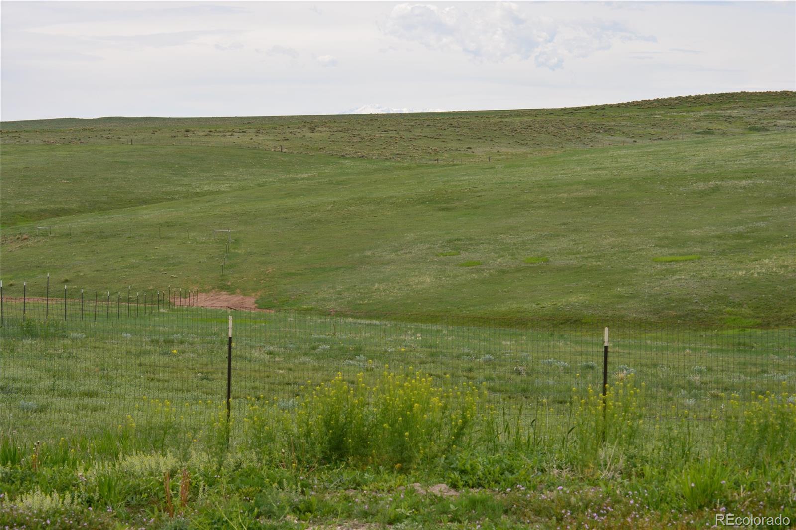 5639 South Tom Bay Road Bennett, CO 80102 - Photo 27 of 39 Gallery Image 27
