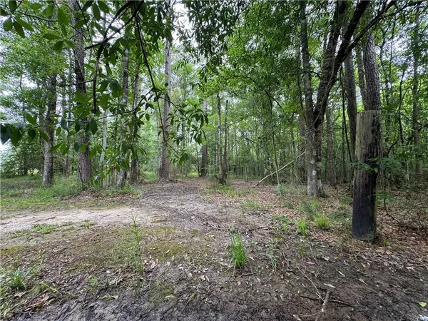 $30,000 | Tbd Woodland Drive, Oakdale, LA 71463